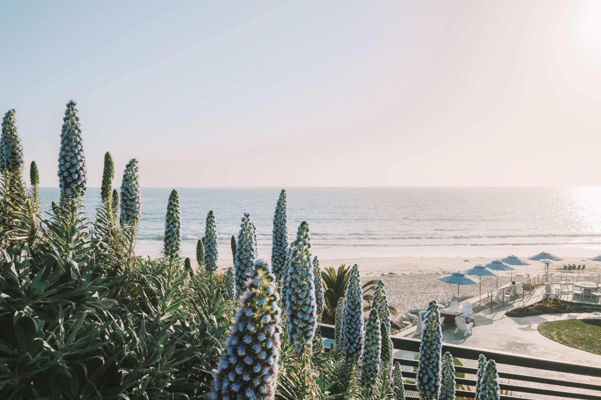 Waldorf Astoria Monarch Beach Resort & Club Dana Point Kültér fotó